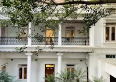 White colonial home framed by a mature tree and layered planting