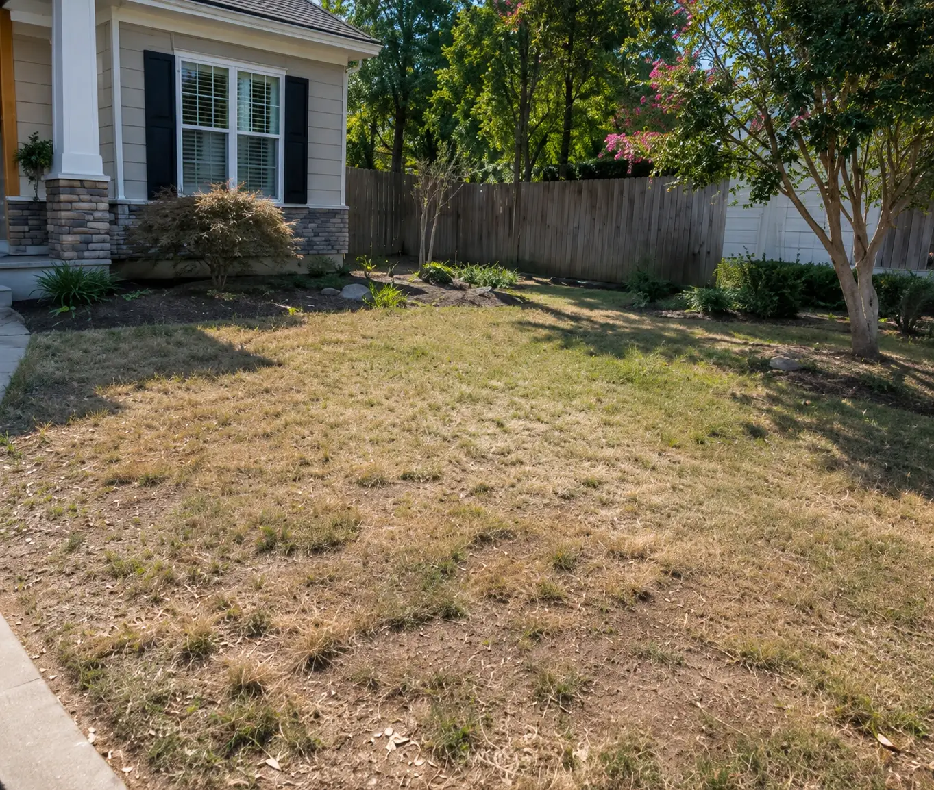 Lawn before Evergreen Landscapes' work