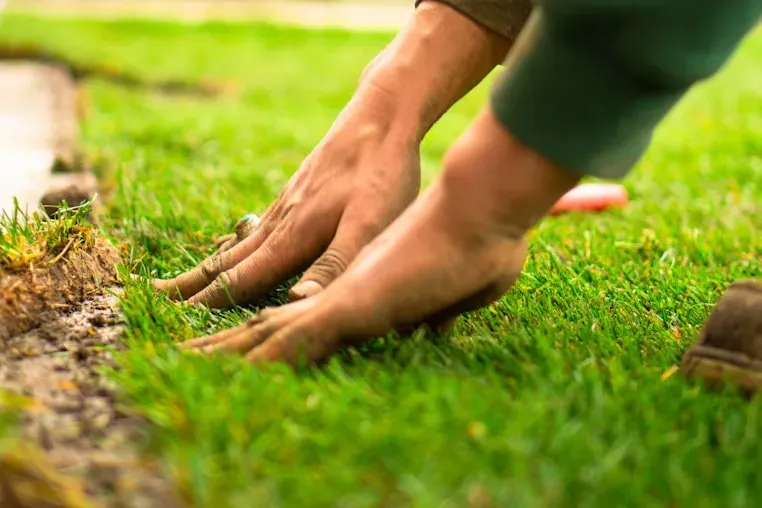 Hands pressing a fresh roll of sod into place