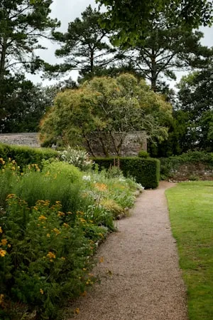 Garden path between clipped hedges and wildflowers