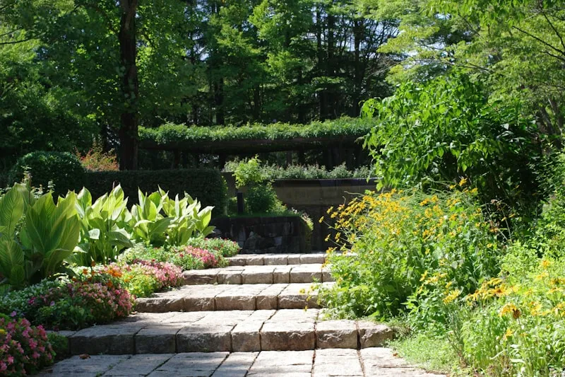 Stone steps climbing through terraced, layered garden planting