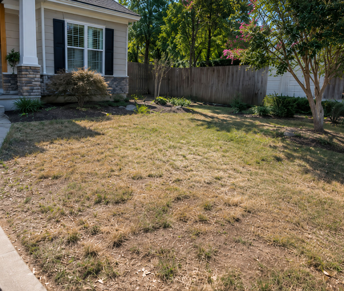 Lawn before Evergreen Landscapes' work